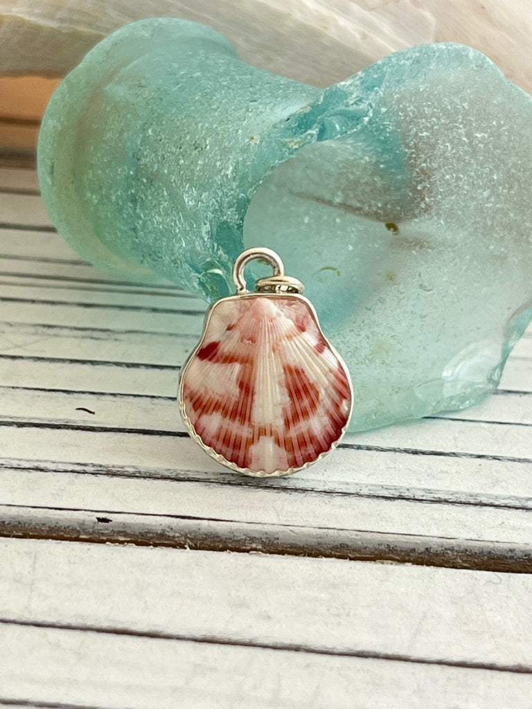 Raspberry and White Scallop Charm - Ocean Soul