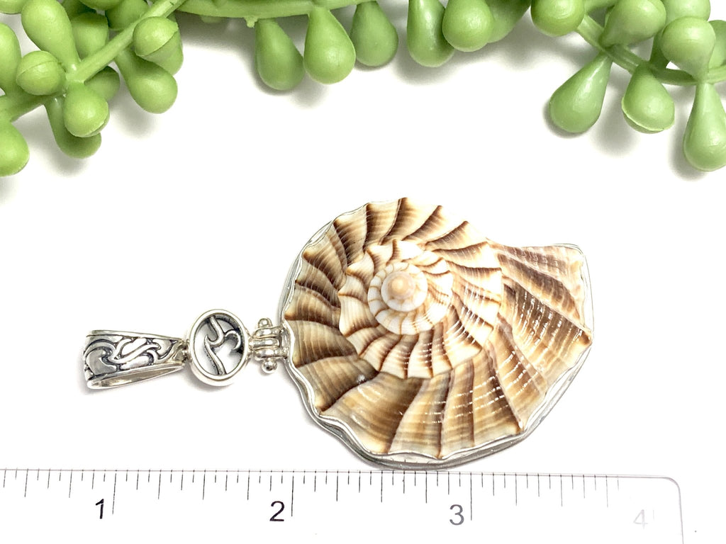 Sand and Cocoa Lightning Whelk Pendant with OS Logo and Carved Bail - Ocean Soul