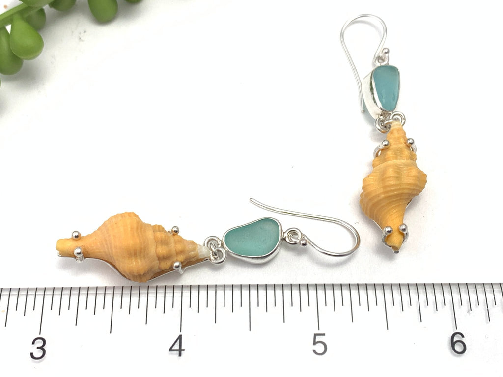 Sea Foam Blue Sea Glass and Horse Conch Earrings - Ocean Soul