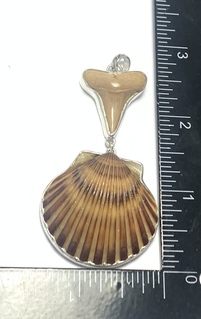 Shark Tooth and Scallop Pendant - Ocean Soul