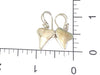 Shark Tooth Earrings - Ocean Soul