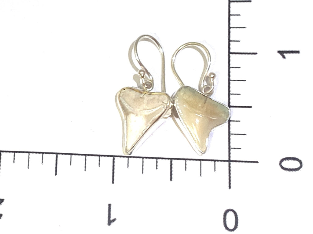 Shark Tooth Earrings - Ocean Soul