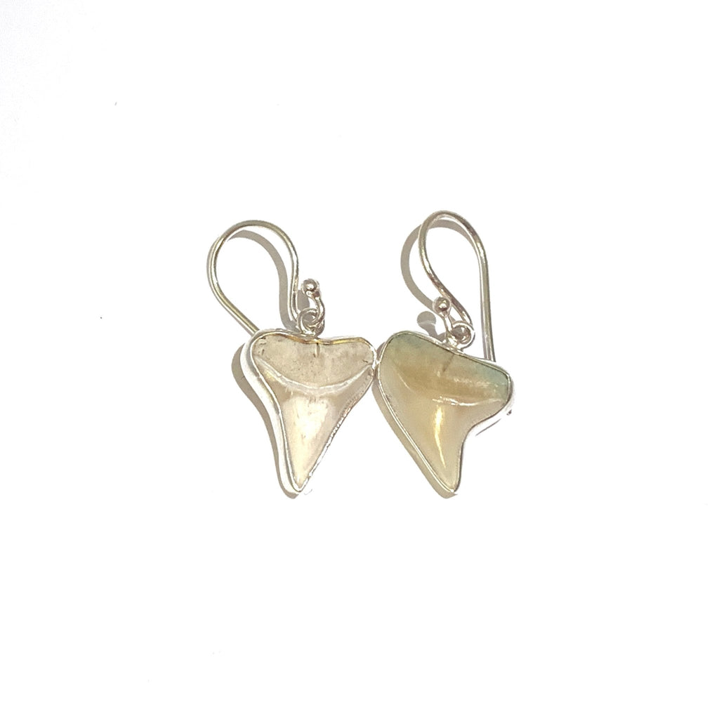 Shark Tooth Earrings - Ocean Soul