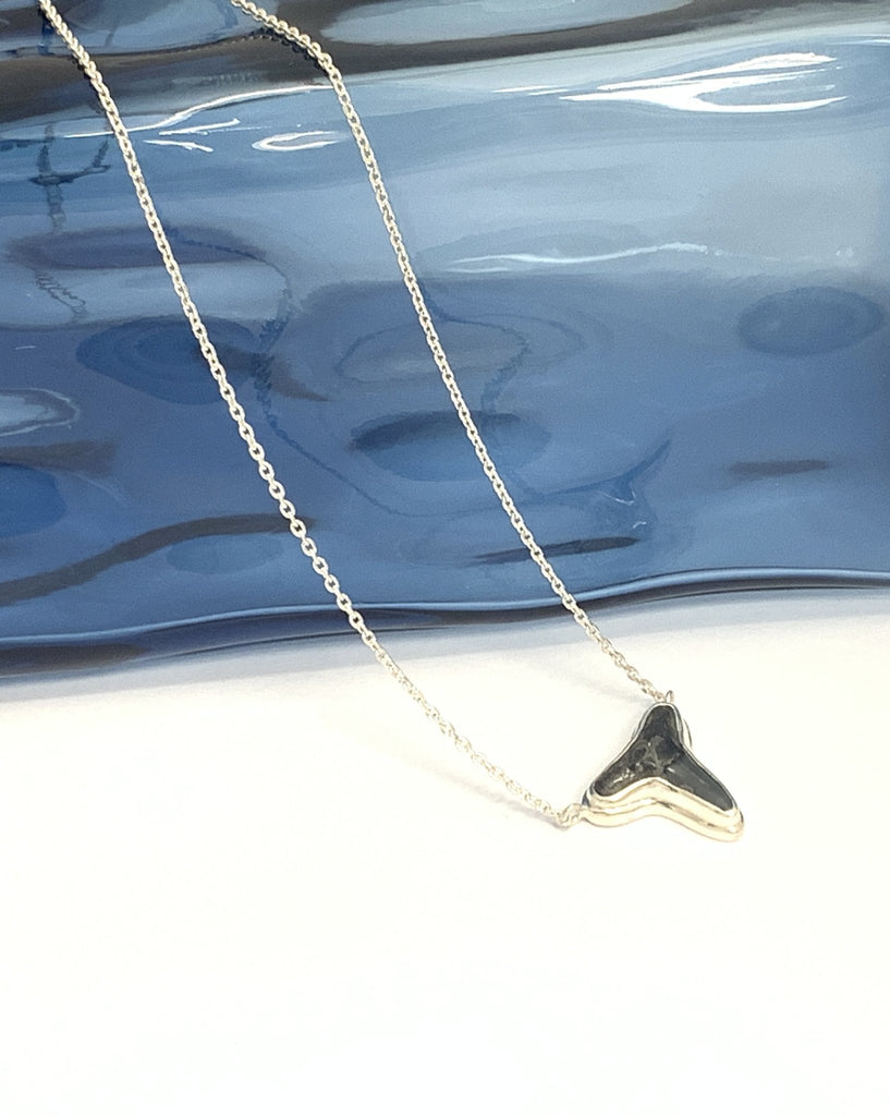 Shark Tooth Necklace - Ocean Soul